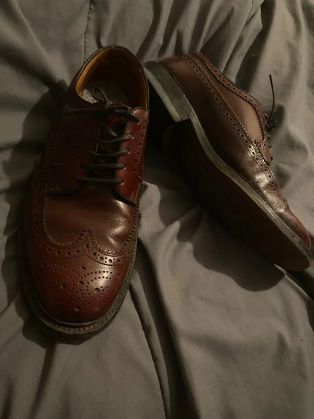 burgundy leather wingtip oxfords